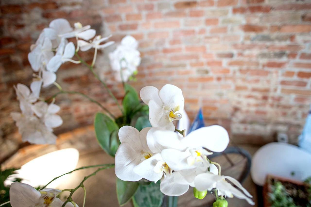 La Canonica - Charming Self-Catering Apartments In Nizza Monferrato Eksteriør billede